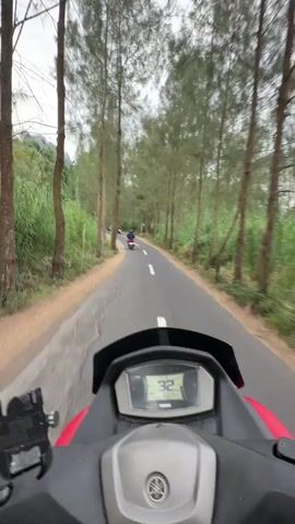 The video shows a first-person perspective of someone riding a red Yamaha NMAX scooter down a paved road. The road is lined with tall, slender trees and dense green vegetation. The rider's digital display shows the speed increasing from 33 to 38. Several other motorbikes are visible ahead, also traveling in the same direction. The sky is overcast.