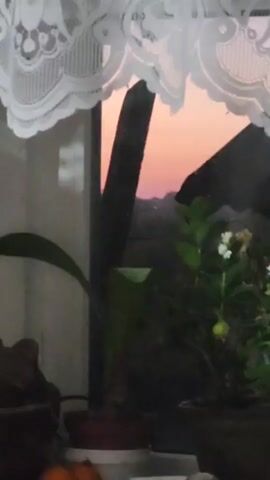 A time-lapse video shows the sky changing colors from sunset to dusk. The foreground is filled with indoor plants and a white lace curtain hangs from the top of the frame.