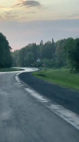The video shows a view from a vehicle traveling on a wet, paved road that curves to the left. Trees line the right side of the road, and a grassy area is visible between the road and the trees. Several warning signs indicating curves are placed along the right side of the road. The sky is overcast with a soft glow, suggesting dawn or dusk. The camera is in motion, creating a blurred effect that emphasizes the speed of the vehicle.