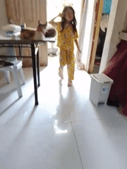 Morning domestic life: girl, cats, and ube cooking in Davao