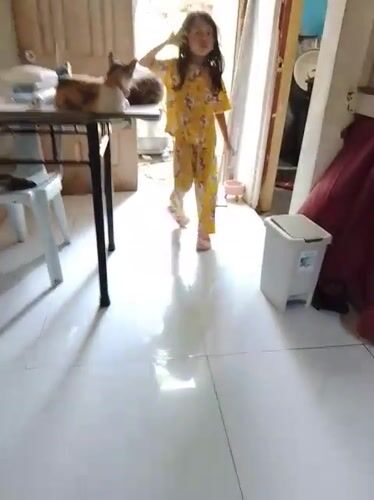 Morning domestic life: girl, cats, and ube cooking in Davao