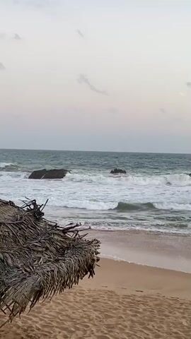 The video shows a beach with waves crashing on the shore. In the foreground, there is a thatched umbrella made of dried palm leaves. The ocean is visible in the background with several rocks protruding from the water. The sky is overcast with a soft, pale hue, suggesting either dawn or dusk. The sand is a light brown color. The overall scene is one of a serene, natural coastal environment.