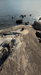 Coastal excursion documented along Đà Nẵng rocky shoreline