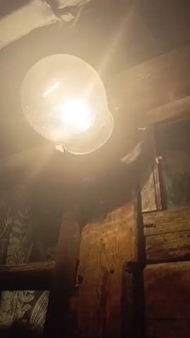 A lightbulb hangs from the ceiling, illuminating a dimly lit space with wooden beams and textured wallpaper. Several moths flutter around the bulb, attracted by the light. The scene appears to be inside a rustic structure, possibly a shed or an old building.