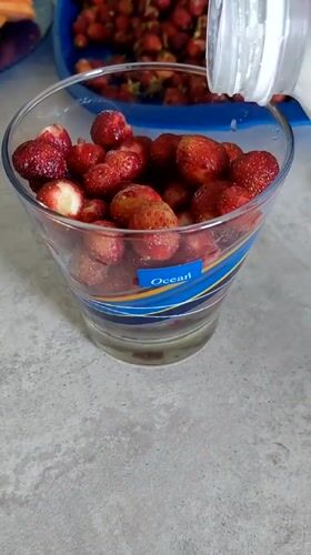 Wild strawberries picked, sorted, and eaten in a Novosibirsk garden