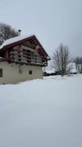 The video shows a man jumping off a balcony of a cabin into a thick layer of snow. The cabin is light-colored with a wooden balcony and a red roof, covered with snow. There is a tree without leaves nearby. The man lands headfirst into the snow. After a moment, he rises up and yells with excitement. Another person is standing on the balcony looking on. The sky is overcast.