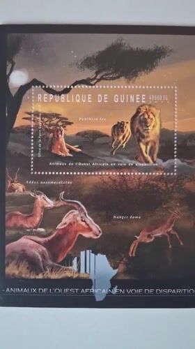 African wildlife stamps collection documented in Pleven, Bulgaria
