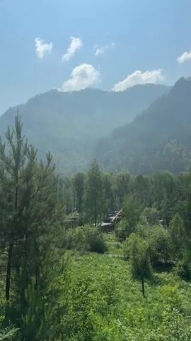 This is a vertical, panning video. The scene is a sunlit, mountainous, forested area. In the foreground, on the left side, is a tall pine tree. The middle ground shows a variety of green trees, some deciduous and some coniferous, with a small clearing containing a few buildings with dark roofs and what appears to be a wooden structure with a pitched roof and some elevated elements, possibly a playground or an observation deck. A winding path is visible. The background consists of layered, hazy, green mountains under a bright blue sky with scattered white clouds. The overall impression is one of natural beauty and a serene, rural landscape. No people are visible. The video appears to be filmed from an elevated position, looking down into the valley.