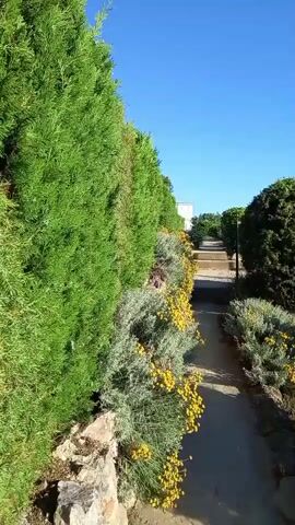 The video pans across a pathway lined with lush green trees and flowering bushes. The pathway leads up a gentle incline, and in the background, a modern, open-air observation deck overlooks a vast expanse of calm, blue ocean under a clear blue sky.