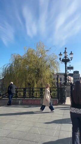 The video depicts a sunny day on a crowded bridge in what appears to be a European city.  Several people are walking across the bridge in both directions.  The person recording the video is walking among them, and follows a woman with long dark hair.  The woman is wearing a black-and-white patterned shirt, a black vest, dark-colored pants, and is carrying a shopping bag.  The bridge has ornate black metal railings and decorative lampposts.  Buildings are visible in the background, and a weeping willow tree is to the side of the bridge.  The sky is blue with scattered white clouds.