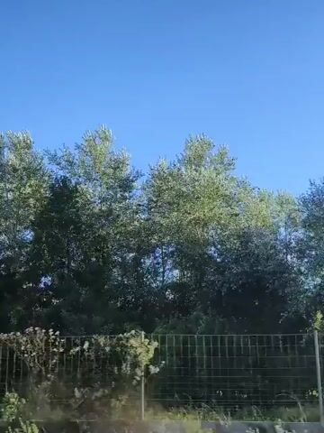 This is a side-view video of trees with green leaves and a blue sky. A black metal fence with vertical bars is visible in the foreground, with some dry grass and vegetation beneath it. The camera appears to be moving, as the trees and fence are captured from a moving perspective. The video is 4 seconds long, with timestamps indicating the progress of the footage.