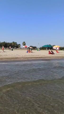 The video shows a beach scene on a clear day. The water is calm with gentle waves. On the sand, several umbrellas are set up, providing shade for beachgoers. People are visible scattered across the beach, some sitting under umbrellas, others walking near the water's edge or in the shallow water. A few individuals are in the water, appearing to be enjoying the sea. The background shows a line of trees and vegetation beyond the beach, with a clear blue sky above. The scene is peaceful and depicts a typical summer day at the beach.