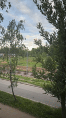 Observer documents roadside and tree views in Fedorino, Russia