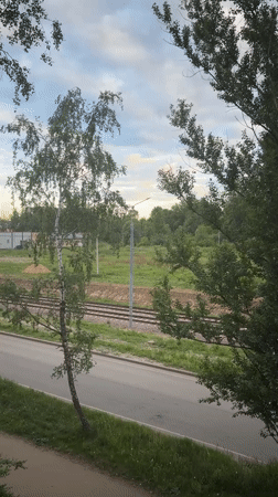 Observer documents roadside and tree views in Fedorino, Russia