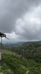 Terraced landscape documented under cloudy skies in Baturiti, Indonesia