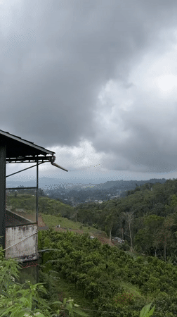 Terraced landscape documented under cloudy skies in Baturiti, Indonesia