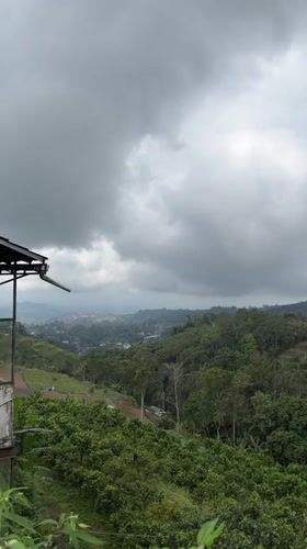 Terraced landscape documented under cloudy skies in Baturiti, Indonesia