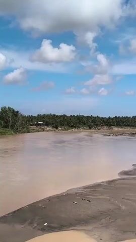 The video shows the aftermath of a flood in a coastal area, likely a river meeting the sea. The water is a muddy brown color and the riverbank has eroded significantly, with parts of buildings and debris falling into the water. Some buildings, including what appears to be a two-story structure, are still standing precariously on the edge of the eroding bank. There is a small boat amongst the rubble. The sky is blue with white clouds, and there are palm trees and other greenery in the background. The overall impression is one of significant environmental damage and potential displacement of residents.