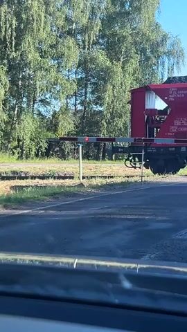 A video captures a train moving across a railway crossing. The train consists of at least two red coal cars, each filled with black coal. The front car has "DB CARGO" written on its side. The train is passing through a natural environment with green trees in the background and a clear sky. The crossing itself has white and red striped barriers, indicating it is active and the train is passing. The video seems to be filmed from a vehicle, as suggested by the blurry foreground that resembles a car's interior.