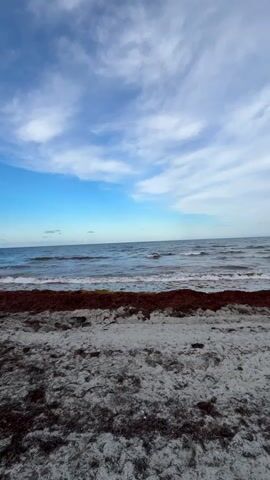 The video shows a tranquil beach scene with the ocean and sky. The foreground is a sandy beach covered in dark seaweed. The water is a deep blue with gentle waves lapping the shore. A band of dark red seaweed is visible at the waterline. The sky is a bright blue with scattered white clouds. The scene is calm and serene.