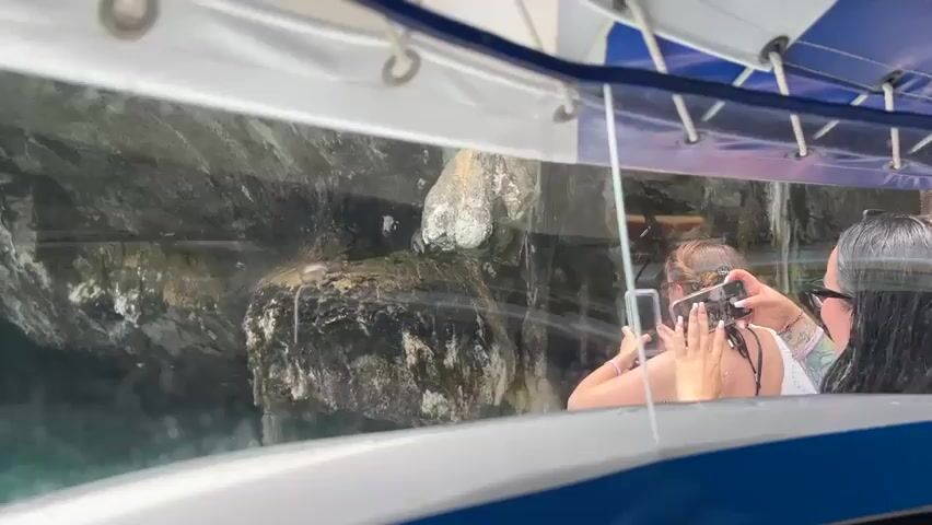 The video shows a group of people on a boat looking through a large glass window into an underwater enclosure. The enclosure appears to be rocky and possibly contains some vegetation. The people are looking out and some are taking pictures with their phones. The water is clear and appears to be blue-green in color. The boat has a blue and white canopy overhead. The overall scene is one of people observing marine life.