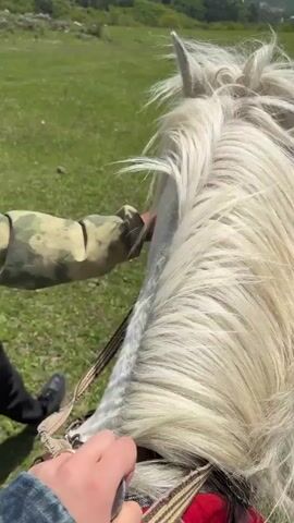 The video shows a group of people horseback riding in a green meadow on a sunny day. The camera is mounted on a white horse, providing a first-person perspective over its back, capturing its mane and ears. A hand wearing a camouflage sleeve is visible, holding the horse's rein. The meadow is vast, stretching towards a backdrop of green mountains under a blue sky dotted with fluffy white clouds. In the distance, some snow-capped mountains can be seen. The group of riders ahead consists of several people, some walking and others riding horses of various colors, including white and brown. Some cows are seen grazing in the pasture.