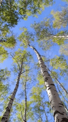 Everyday moments captured across Chaikovsky, Russia in 23 minutes
