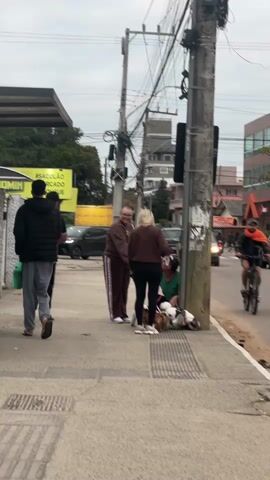 A man wearing a black puffer jacket and gray pants walks away from the camera on a sidewalk. Behind him, another man in a black t-shirt with the number 30 on it, and black pants, walks in the same direction. Further ahead, a woman in a brown sweatshirt and black pants stands next to a man in a brown tracksuit. They are both interacting with a person sitting on the ground next to a utility pole, who is wearing a green shirt and is surrounded by three small dogs. A yellow sign is visible in the background behind the first two men. Cars are driving on the street to the right of the sidewalk. The sky is overcast.