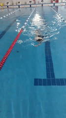 Early morning swimmer trains at indoor pool in Yakutsk
