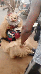 Traditional masquerade performance captured in Nnobi, Nigeria