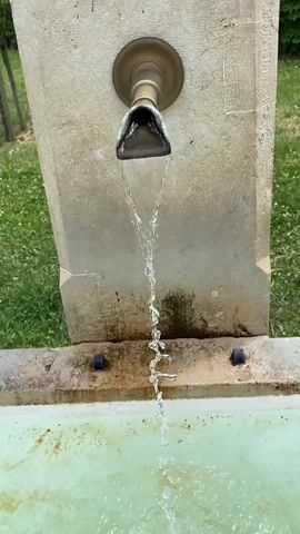 A person holds a light blue metal mug under a water fountain and fills it with water. The fountain is made of stone, with a brass spout. Water is flowing from the spout into the mug. The mug has a black rim and handle. The background shows grass and green vegetation. The person is wearing a black watch on their left wrist.