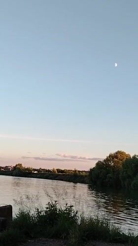 Riverside evening in Zhukovsky: boats, dogs, cats, and golden hour