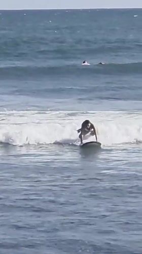 Busy morning surf session on North Kuta's beach