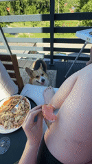 Family enjoys sunny balcony lunch with baby and Corgi in Germany