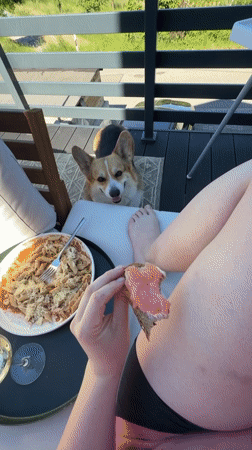 Family enjoys sunny balcony lunch with baby and Corgi in Germany