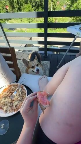 Family enjoys sunny balcony lunch with baby and Corgi in Germany