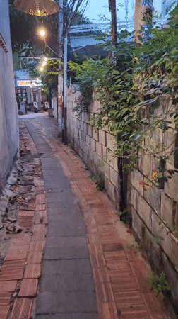 Morning walkthrough captures everyday Vietnamese neighborhood scenes