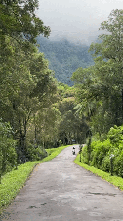 Early morning golf and motorcycle activity in Indonesian mountains