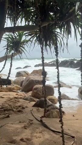 The video shows a close-up view of a beach with a swing made of rope and small stones hanging from a tree. The swing is in the foreground, and the ocean waves are crashing on the shore in the background. The beach is sandy, and there are large rocks scattered along the coastline. The sky is overcast, suggesting it might be a cloudy day. The palm trees are visible, with their fronds hanging down. There are no people visible in the video. The overall impression is one of a wild, natural beach setting.
