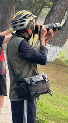 Dawn photography and flower viewing at Da Lat lake