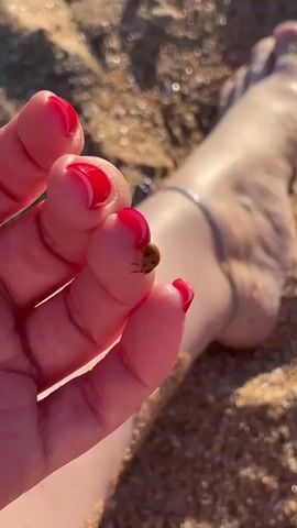A close-up shot focuses on a person's left hand and foot. The hand, with bright red fingernails, holds a small, orange ladybug with black spots on its back. The ladybug is positioned on the tip of the index finger. The person's bare foot, with a delicate anklet, is visible in the background, resting on a sandy surface. The lighting suggests it is daytime, possibly outdoors, with a slightly blurred sandy environment.