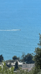 Motorboat crosses blue waters near Montenegro coast with bird