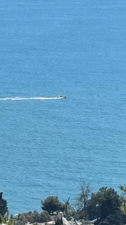 Motorboat crosses blue waters near Montenegro coast with bird
