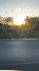 Rural sunrise landscape captured on video in Bulgarovo, Bulgaria