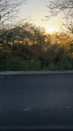 Rural sunrise landscape captured on video in Bulgarovo, Bulgaria