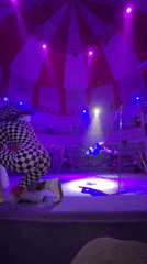 Circus performance observed in Moscow under striped tent