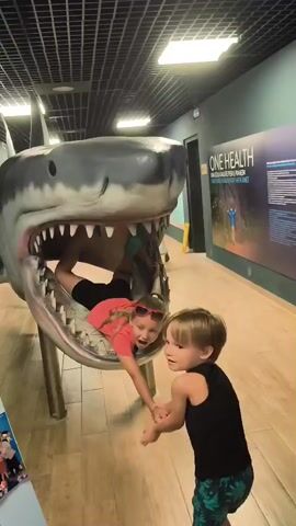 The video shows two young children interacting with a large shark exhibit in what appears to be an aquarium or museum. A girl, wearing a pink shirt and sunglasses on her head, is positioned inside the open mouth of the shark sculpture, lying on her stomach. Her legs are visible and bent. She looks towards the camera with a playful expression. A boy, wearing a black tank top and patterned shorts, stands facing her and is holding her hands. He is also looking towards the girl.

The shark exhibit is a prominent, realistic-looking sculpture with its mouth wide open, revealing rows of sharp teeth. The children appear to be enjoying themselves, suggesting a fun or educational outing. The setting is indoors, with a tiled floor and a dark, grid-like ceiling with overhead lighting. In the background, a large display board with text is visible. The text on the board is in English and appears to be "ONE HEALTH" followed by more text in a smaller font. There is also a distant hallway with blue walls and more lighting. The overall atmosphere seems lighthearted and engaging for children. The time of day is not discernible, and there is no indication of weather conditions. The location is identified as Livorno, Italy.