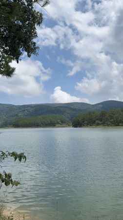 Morning tranquility captured at Tuyen Lam Lake, Da Lat