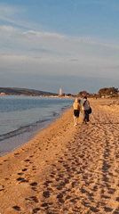 Beach visitors, dog, and sunlit water captured in afternoon