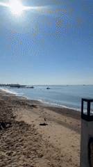 Morning scenes captured in Antalya: beach activities and flower displays